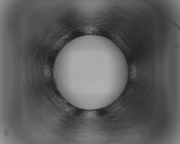 X0000103230569200809111532
