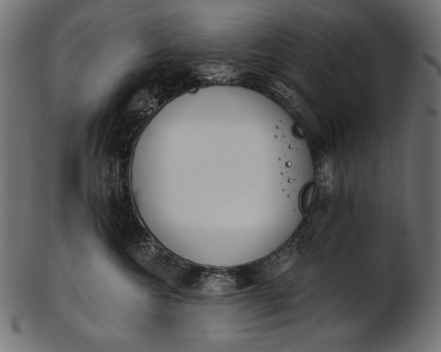X0000103230572200809111532