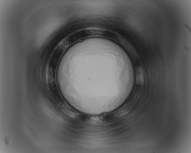 X0000103230573200809111532
