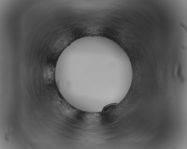 X0000103230576200809111532