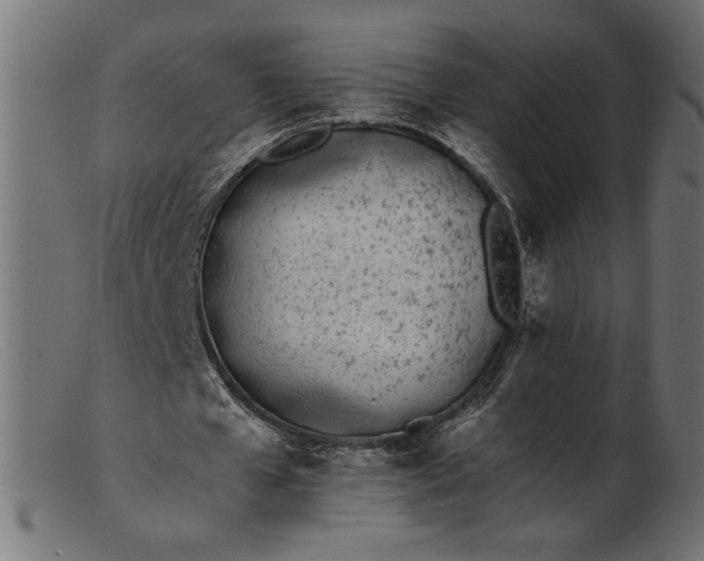 X0000103230577200809111532