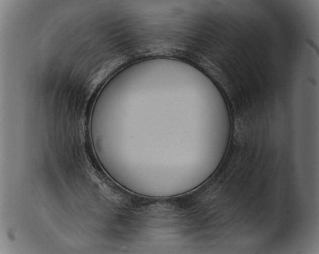 X0000103230578200809111532