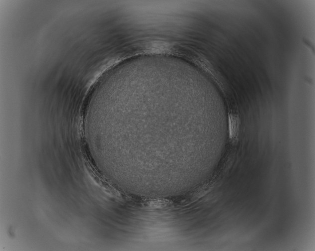 X0000103230579200809111532