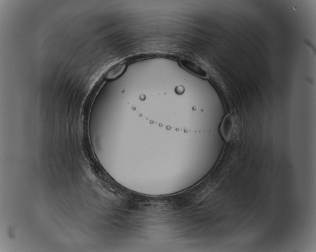 X0000103230580200809111532