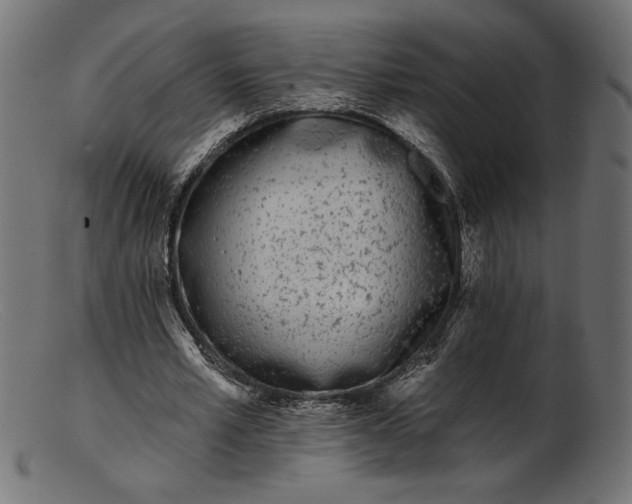 X0000103230581200809111532