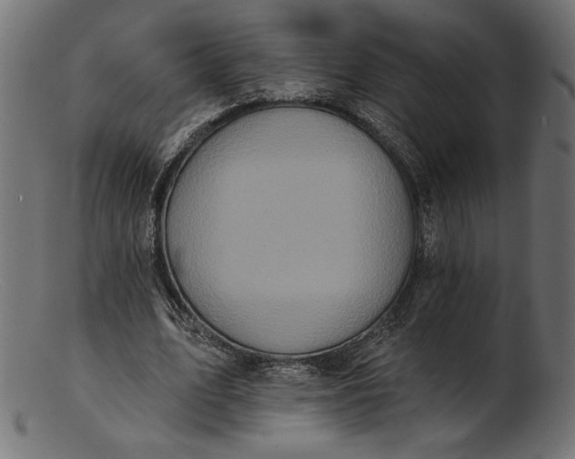 X0000103230583200809111532
