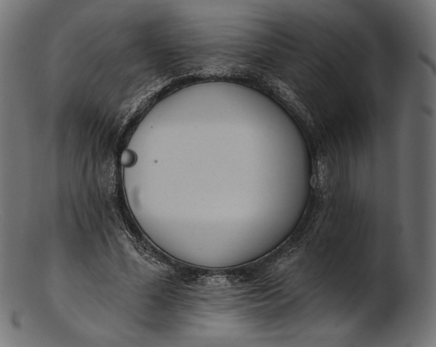 X0000103230588200809111532