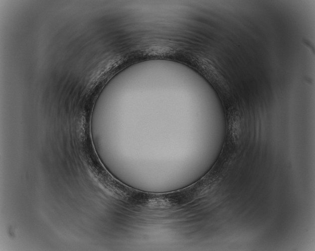 X0000103230591200809111531