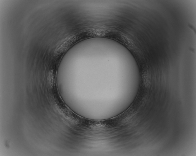 X0000103230594200809111531