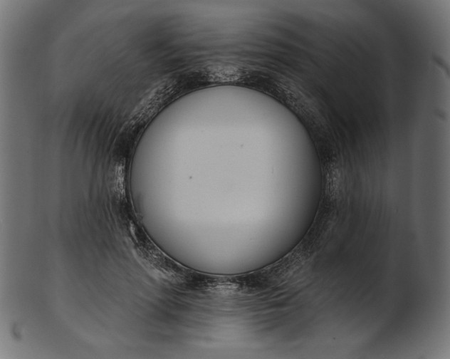 X0000103230598200809111531