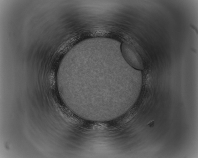 X0000103230599200809111531