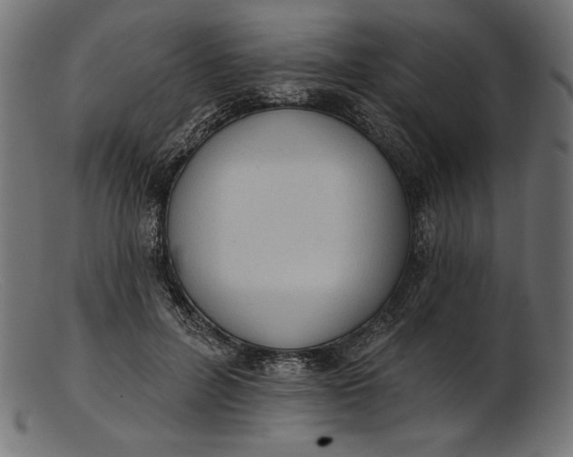 X0000103230600200809111531