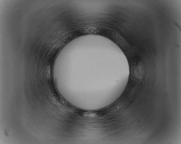 X0000103230602200809111531