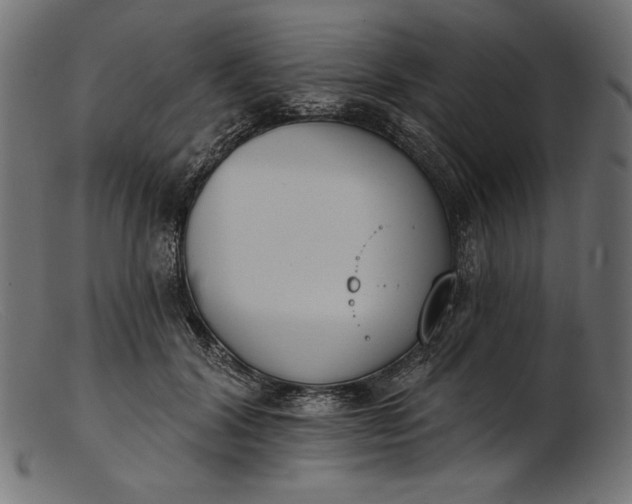 X0000103230604200809111531