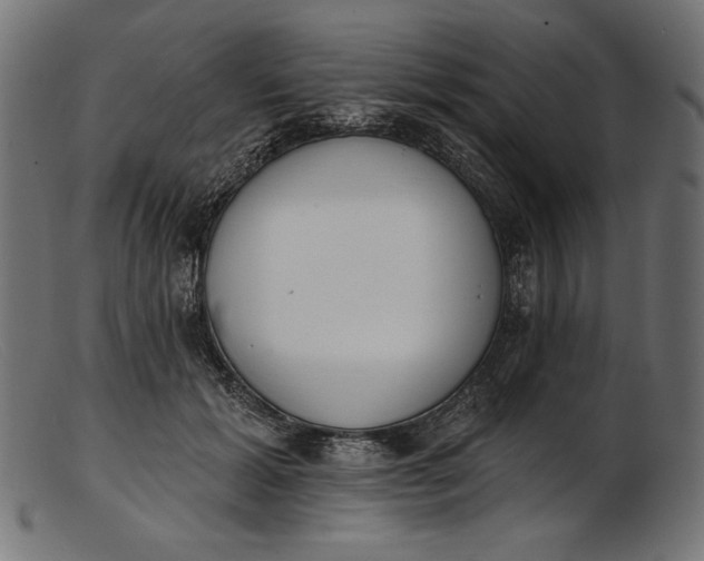 X0000103230605200809111531