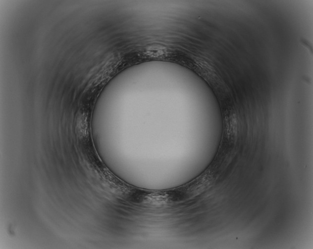 X0000103230606200809111531