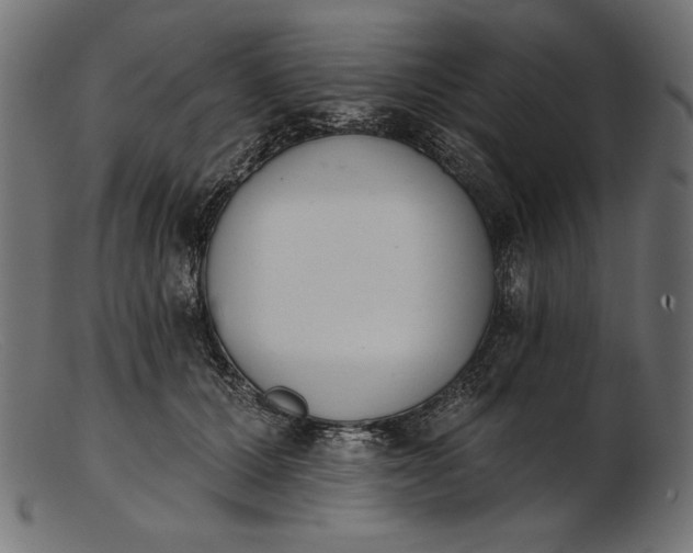 X0000103230607200809111531