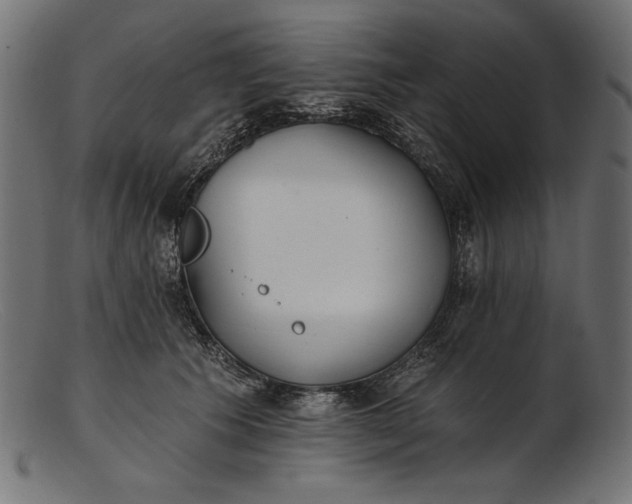 X0000103230609200809111531