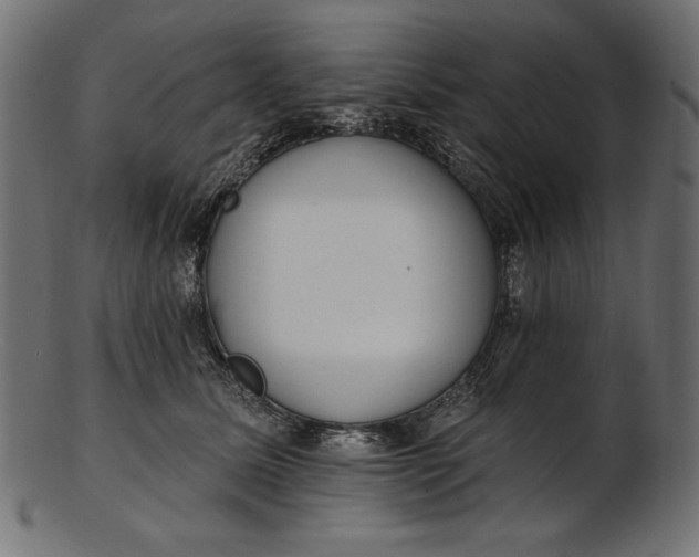 X0000103230611200809111531