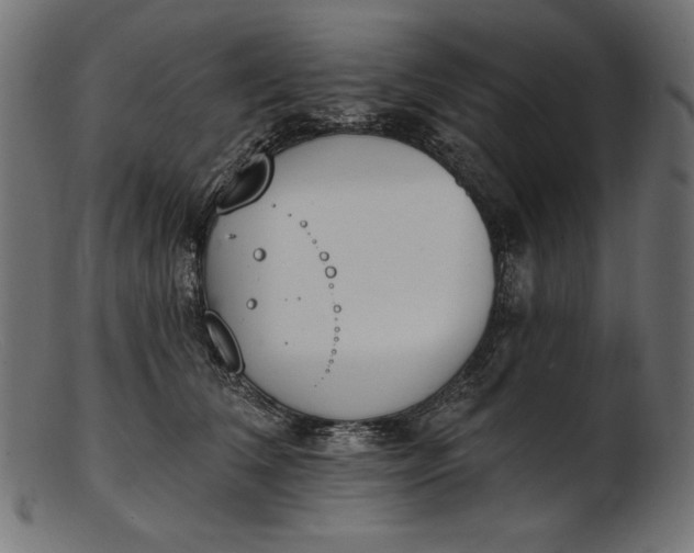 X0000103230612200809111531