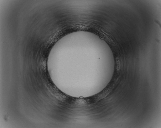 X0000103230613200809111531