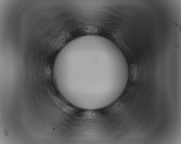 X0000103230614200809111531
