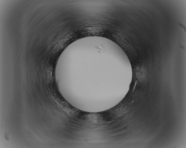 X0000103230615200809111531