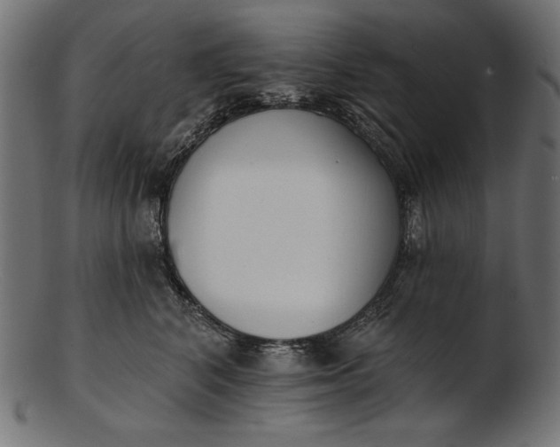 X0000103230616200809111531