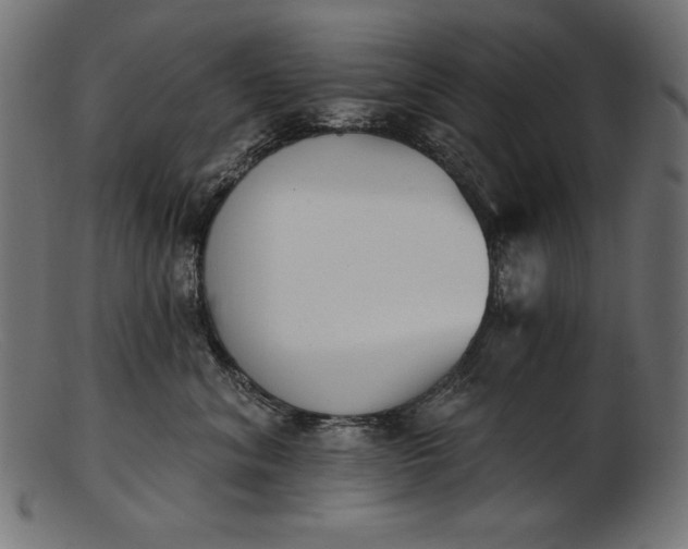 X0000103230620200809111531