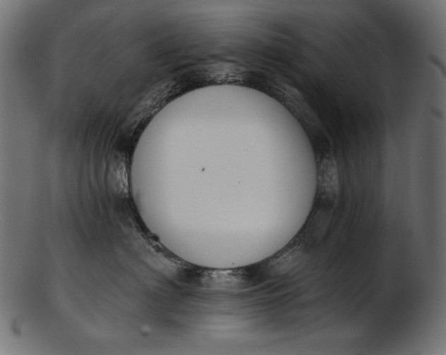 X0000103230622200809111531