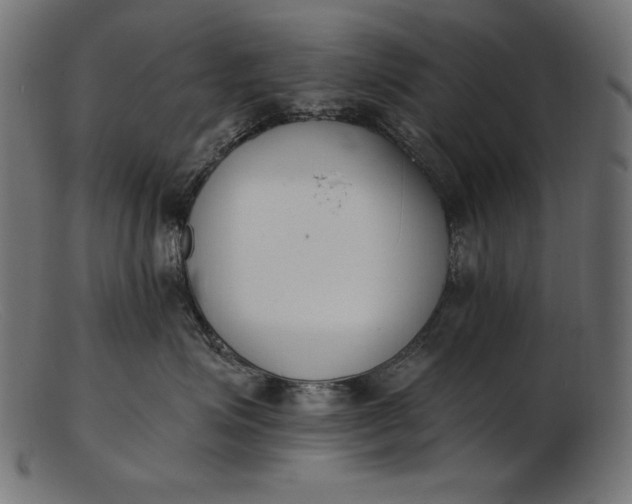 X0000103230623200809111531