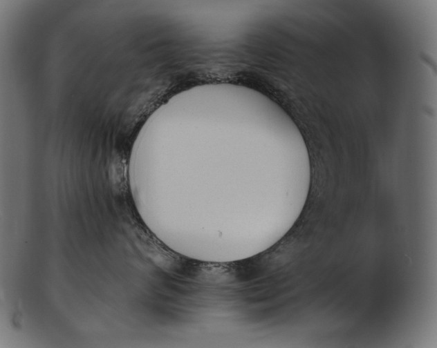 X0000103230624200809111531