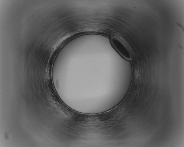 X0000103230628200809111530