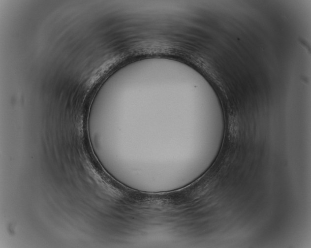 X0000103230629200809111530