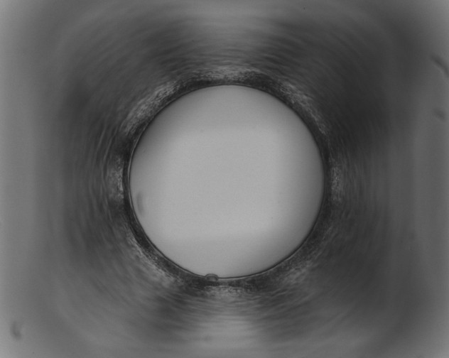 X0000103230633200809111530