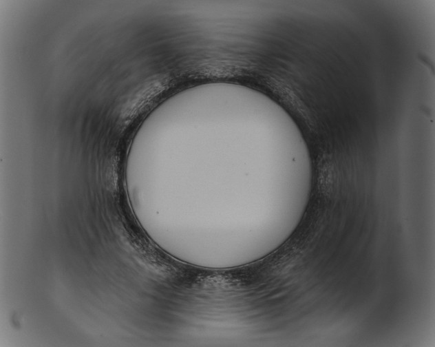X0000103230635200809111531