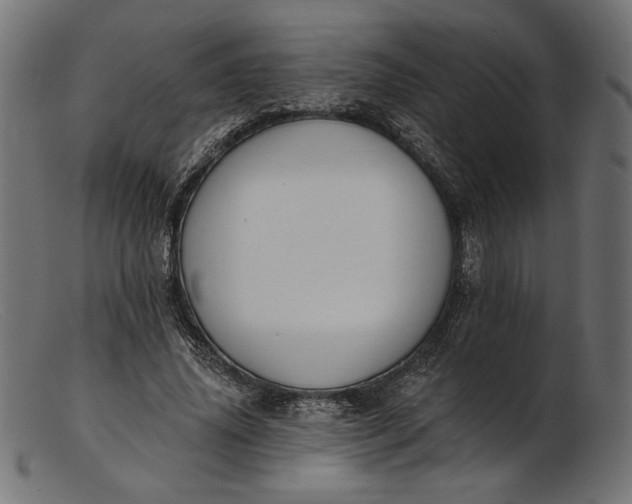 X0000103230636200809111531