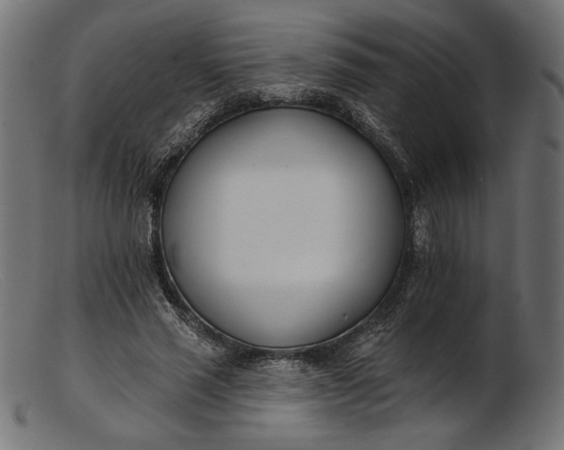 X0000103230637200809111531