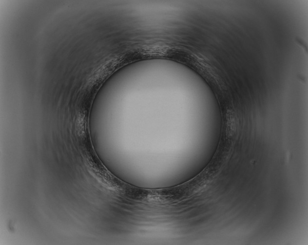 X0000103230641200809111531