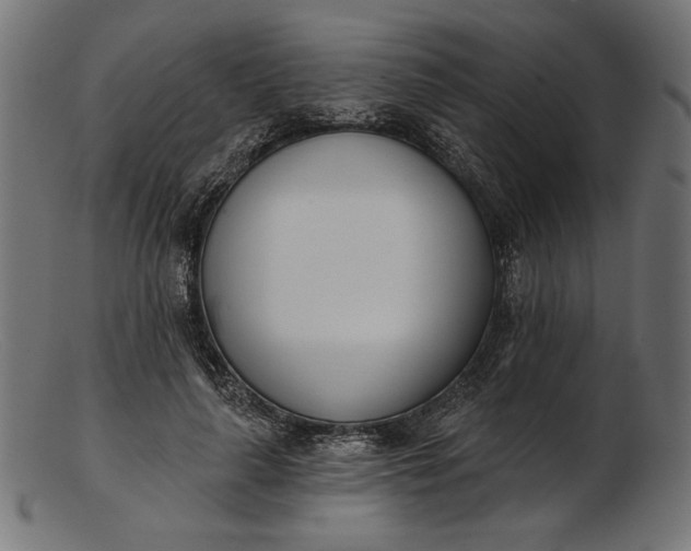 X0000103230643200809111531