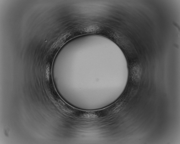 X0000103230644200809111531
