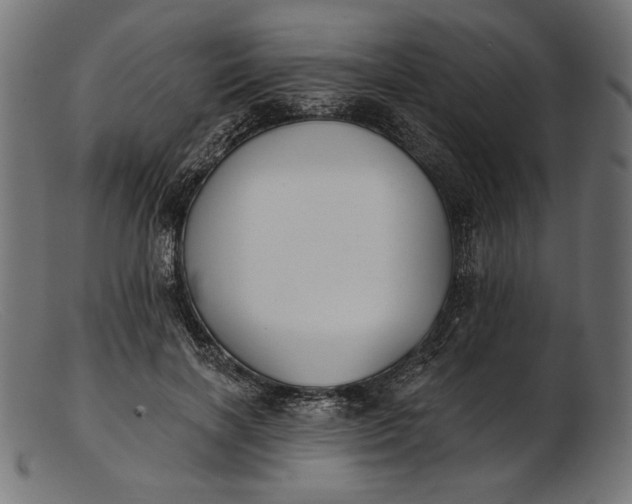 X0000103230646200809111531