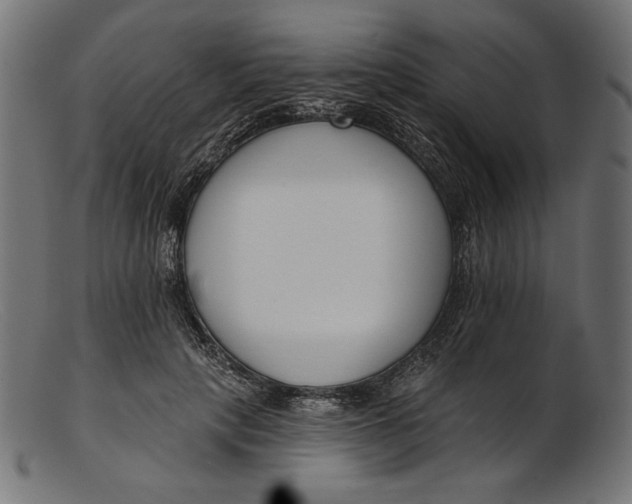 X0000103230649200809111531