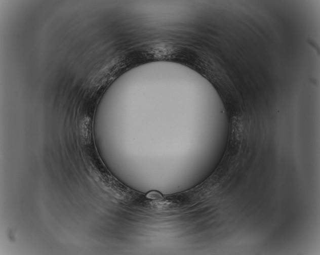 X0000103230650200809111531