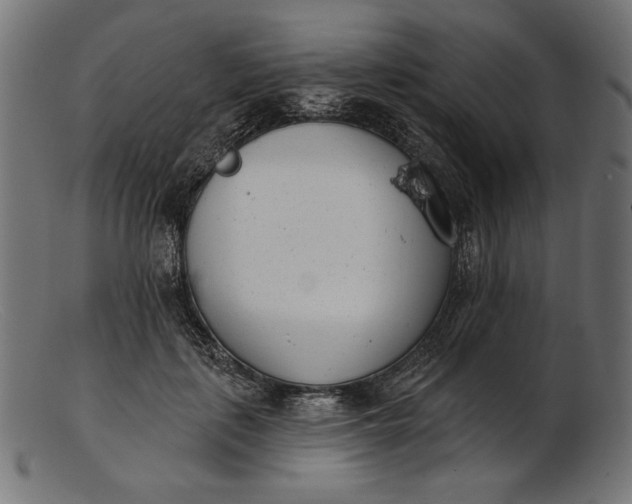 X0000103230651200809111531