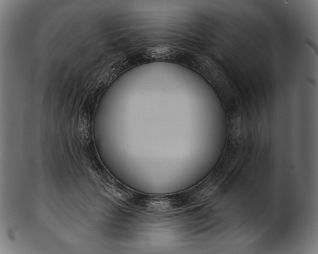 X0000103230653200809111531