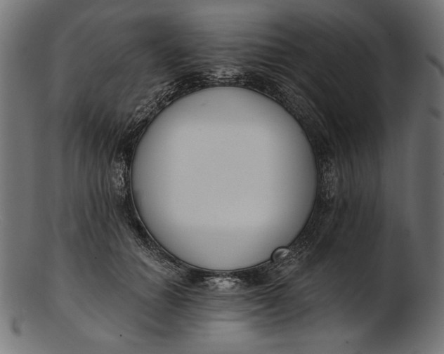 X0000103230654200809111531