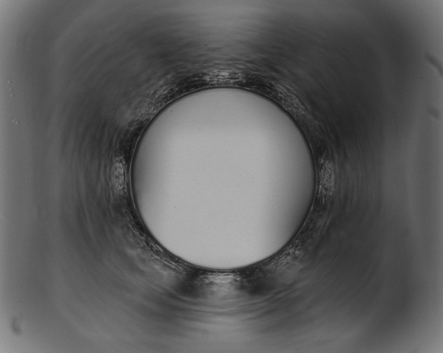 X0000103230659200809111531