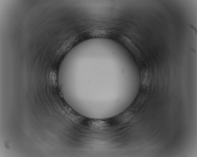 X0000103230669200809111531