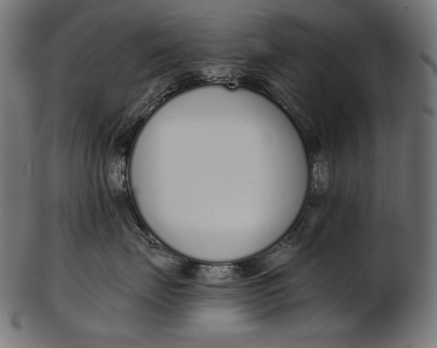 X0000103230671200809111531